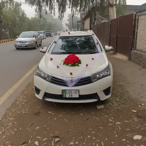 Simple Ribbon & Red Roses Wedding Car Decoration