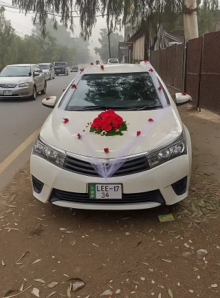 Simple Ribbon & Red Roses Wedding Car Decoration