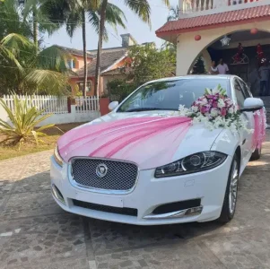 Pink Drape & Lilac Flowers Wedding Car Decoration – White Jaguar