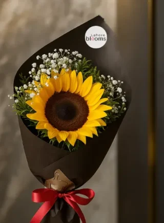 Single sunflower bouquet with baby’s breath in dark wrapping and red ribbon – Lahore Blooms