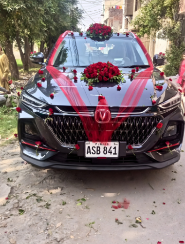 Your paragraph text (1)