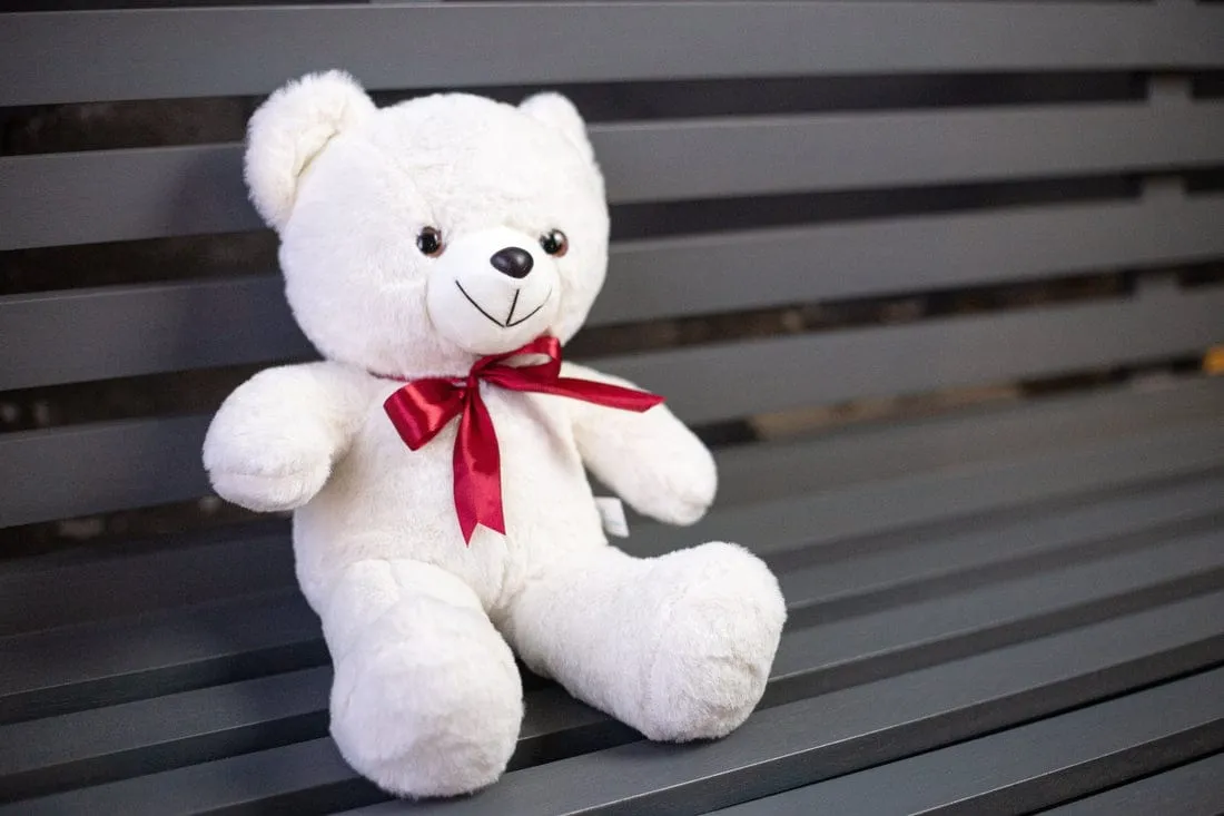 Teddy Bears Lahore