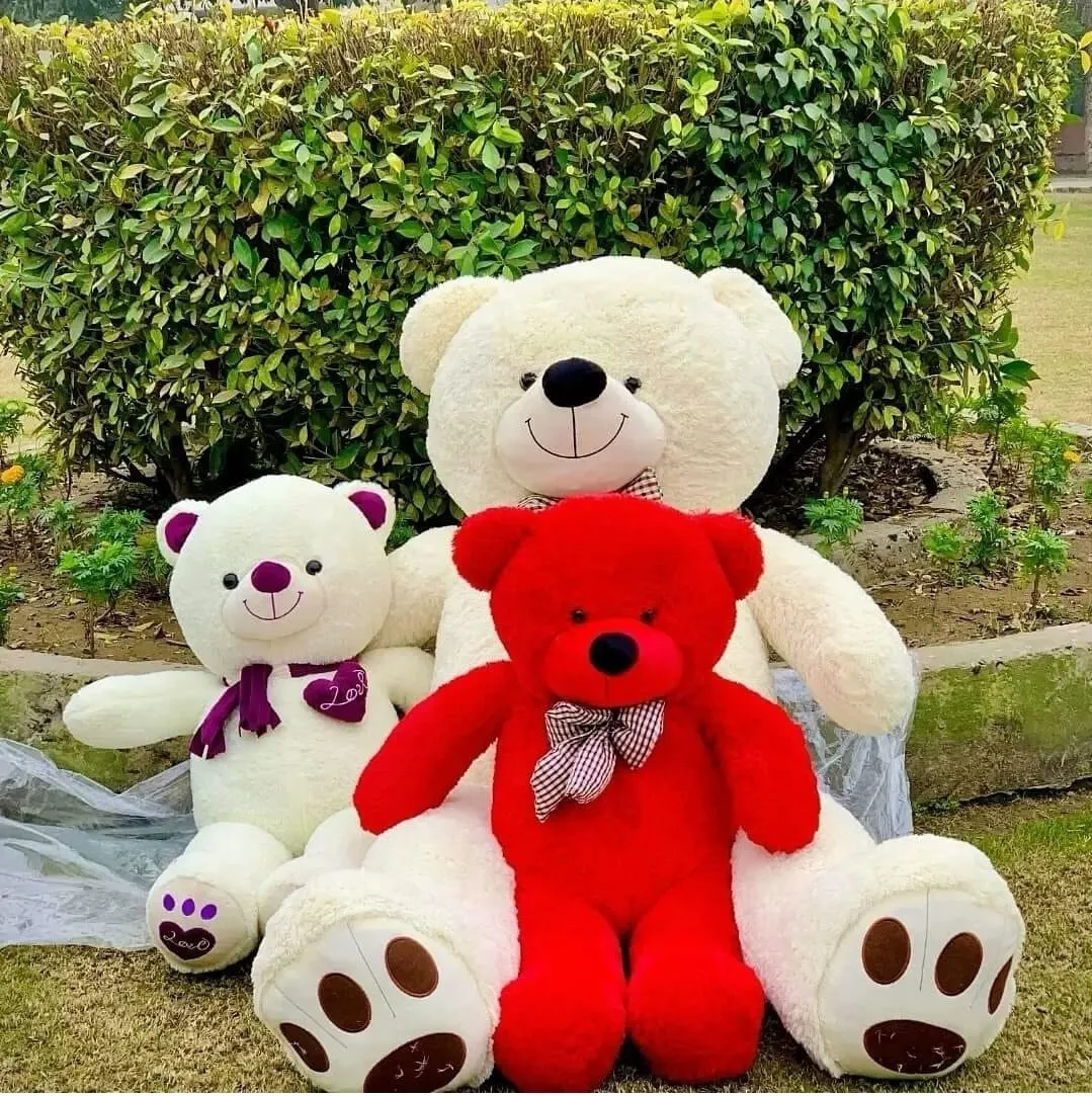 Teddy bear price in Pakistan – giant, medium and mini teddy bears for same-day delivery in Lahore by Lahore Blooms
