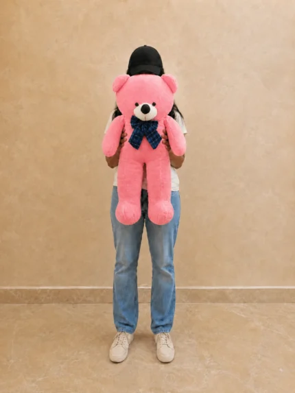2 ft pink teddy bear in Lahore